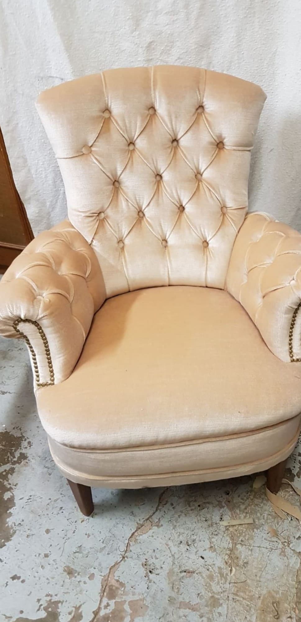 Fauteuil capitonné retapissé en velours champagne après réfection complète en garniture traditionnelle